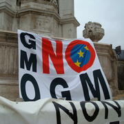 NO OGM (128 visites) Rassemblement loi sur les OGM du 5.02.2008 NO OGM
