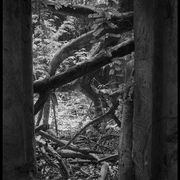 porte