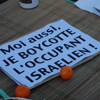 Soutien à Sakina militante LDH