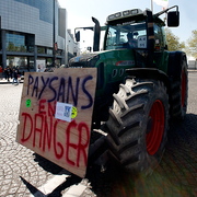 Manif des paysans en tracteur à Paris (88 visites) Manif des paysans en tracteur à Paris