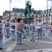 La vivisection est un crime (Victor Hugo)