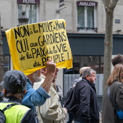 Pancarte