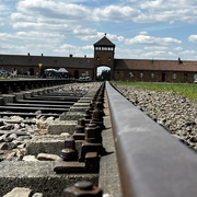 auschwitz-birkenau