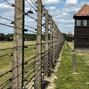 auschwitz-birkenau