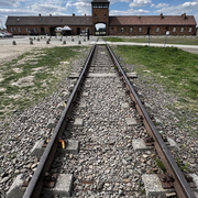 auschwitz-birkenau