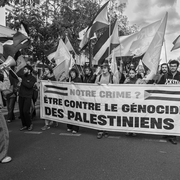 Gaza-0000203