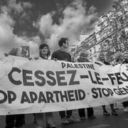 Gaza-0000222